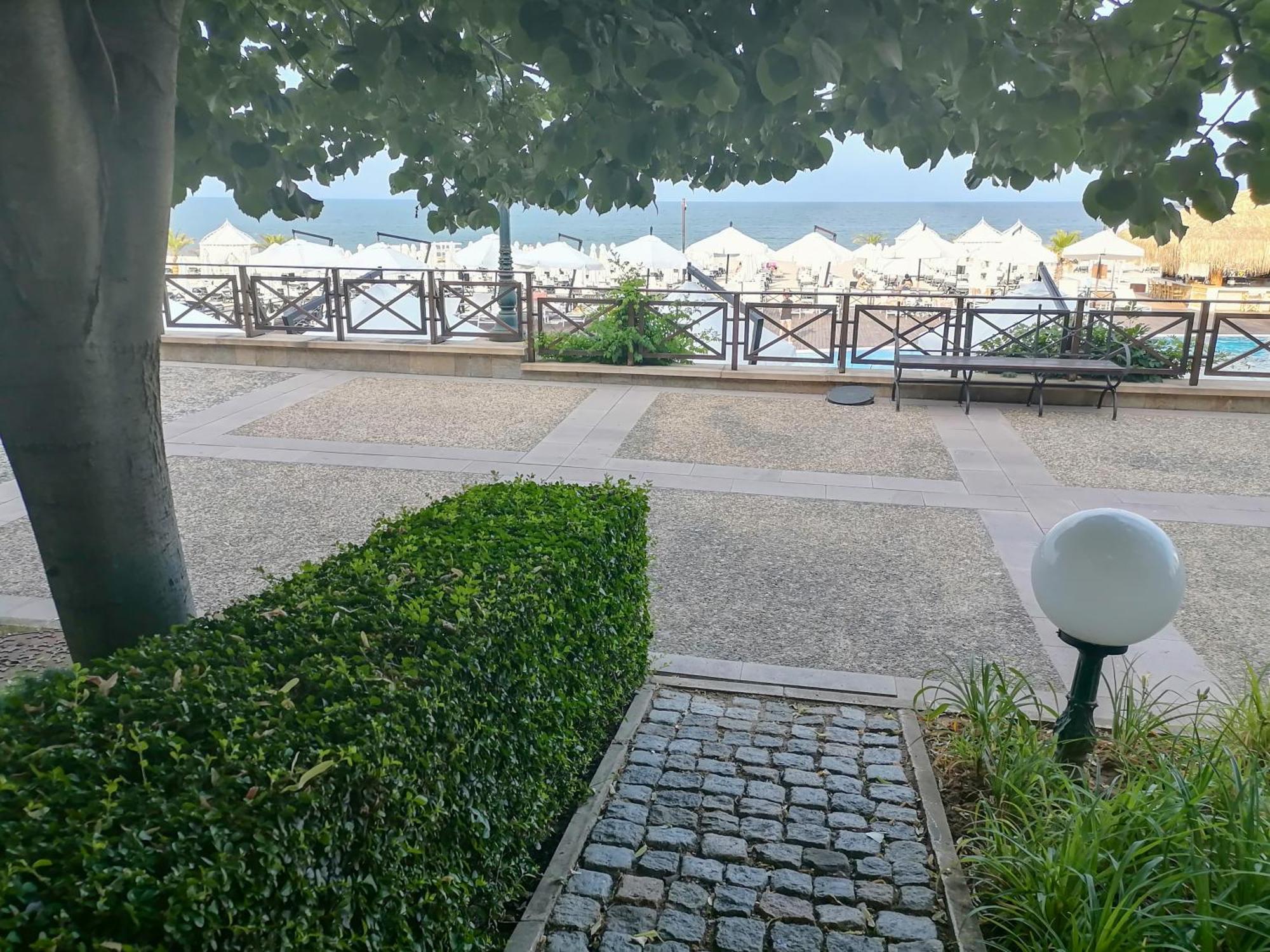 Oasis Lozenets