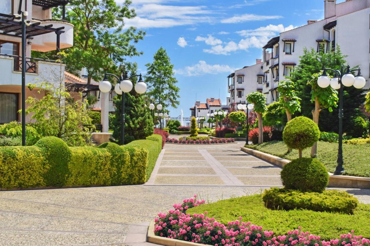 Oasis